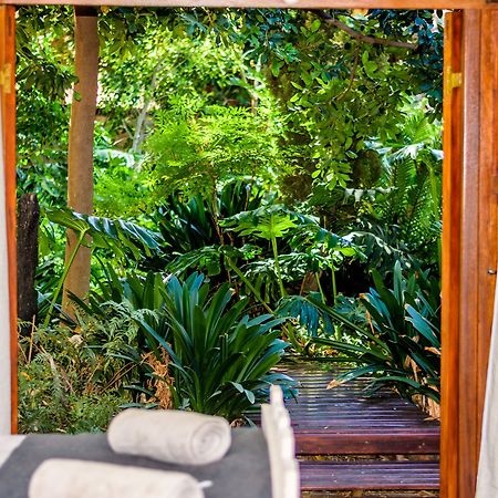 86 On Langenhoven Bed & Breakfast Oudtshoorn Zewnętrze zdjęcie