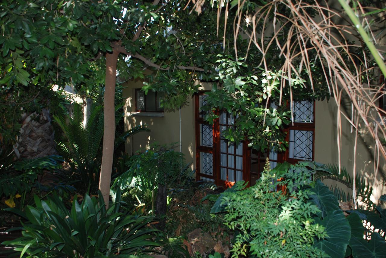 86 On Langenhoven Bed & Breakfast Oudtshoorn Zewnętrze zdjęcie