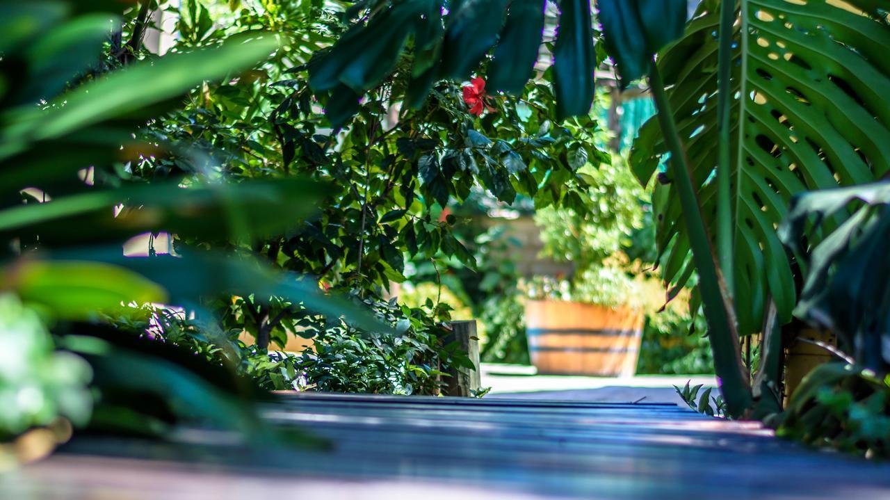 86 On Langenhoven Bed & Breakfast Oudtshoorn Zewnętrze zdjęcie
