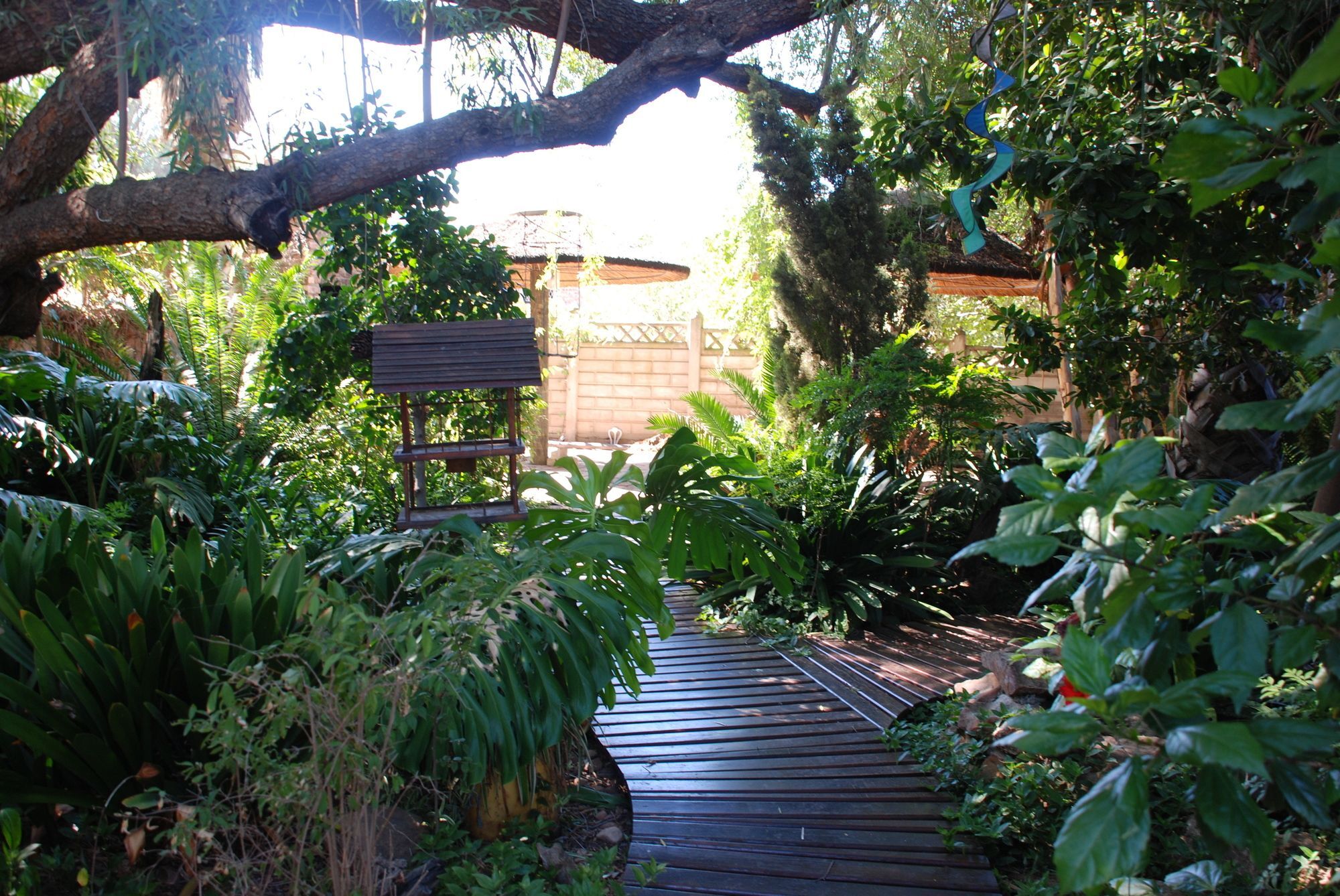 86 On Langenhoven Bed & Breakfast Oudtshoorn Zewnętrze zdjęcie